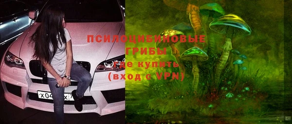 твердый Волоколамск