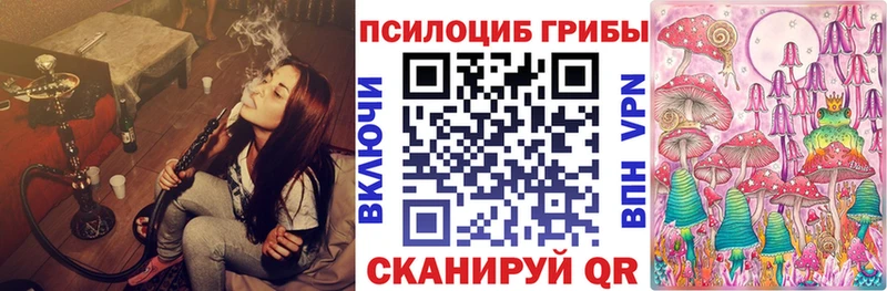 мега ссылки  Сольцы  Галлюциногенные грибы Cubensis 